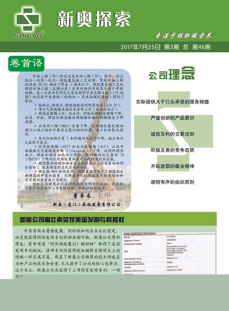 新澳门王中王100%期期中2025的警惕虚假宣传-全面释义、解释与落实、实时解答解释落实